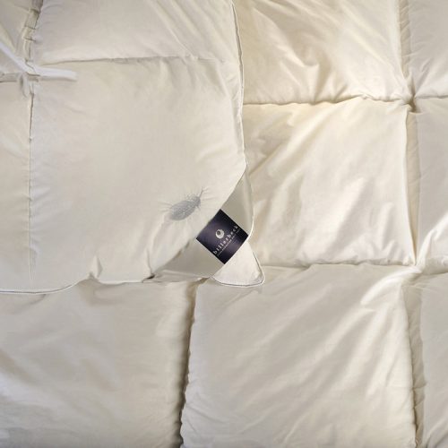 Billerbeck Adri feather-down duvet 135x200