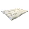 Billerbeck Catflap down comforter 200x220 cm