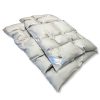 Billerbeck Catflap down comforter 200x220 cm