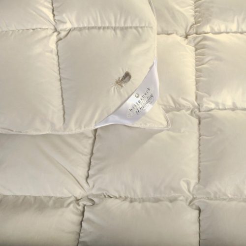 Billerbeck Meyrin feather-down duvet 200x220 cm